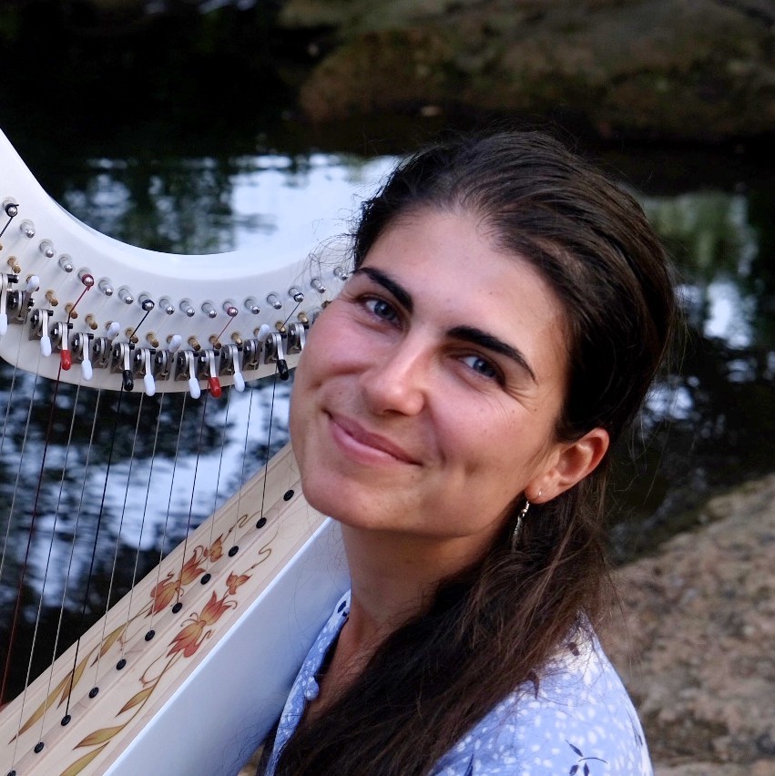 alisa musicienne